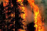 &lt;p&gt;В России бушует масштабный лесной пожар. Фото:&amp;nbsp;&lt;span&gt;community.wikia&lt;/span&gt;&lt;/p&gt;