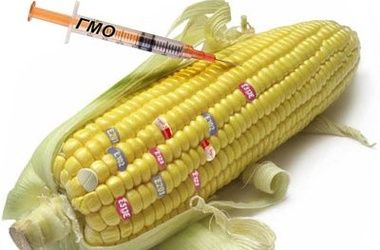 &lt;p&gt;ГМО-продукты. Фото: 24tv.ua&lt;/p&gt;