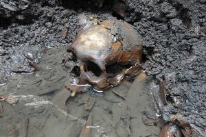 В Мексике обнаружено захоронение с полусотней черепов