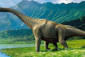 В Австралии, обнаружили следы гигантского динозавра