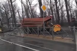 В России рухнувшее дерево убило водителя КамАЗа и пассажира
