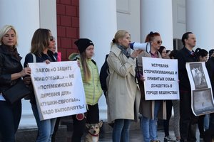 В Одессе зоозащитники пикетировали ОГА