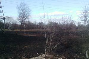 В Киеве на Оболони загорелась сухая трава, огонь перекинулся на свалку