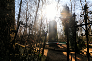 В Одесской области пьяный пенсионер устроил погром на кладбище