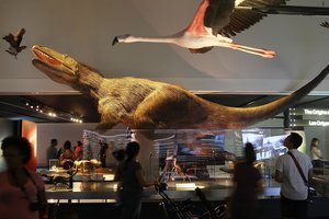 Палеонтологи открыли новый вид гигантских пернатых динозавров