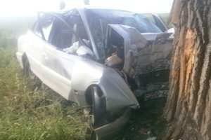 Под Киевом авто врезалось в дерево, водитель погиб