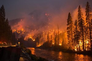 Лесной пожар в Португалии: количество жертв растет