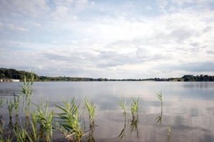 В Киеве на озере утонул подросток