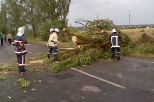 На Украину обрушилась стихия: без света остались более 740 населенных пунктов