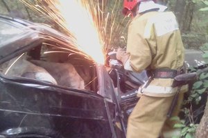 Смертельное ДТП в Одесской области: тело водителя вырезали из авто