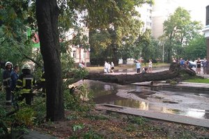 Непогода в Черкассах валила деревья и давила автомобили