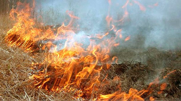 Из-за горящей травы погиб мужчина. Фото: upn.in.ua