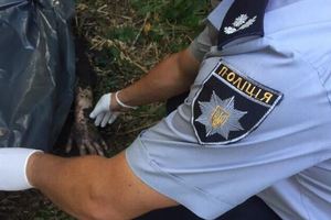 Зверское убийство: тело пропавшего без вести парня нашли в Одесской области