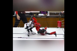 Жаркий бокс роботов в Японии: опубликовано видео