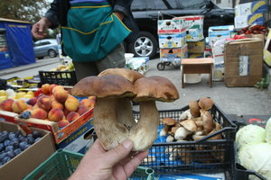 Цены на грибы в Украине побили все рекорды