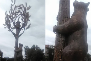 В Черниговской области установили скульптуру медведя на сосне: в соцсетях - ажиотаж