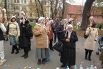Жители Львова принесли депутатам мертвых кур, насаженных на палки