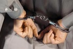 В "Борисполе" задержали криминального авторитета "Анисима" из Запорожья