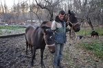 Зоосканадал в Харькове: в частном зверинце мерзнут и голодают животные