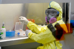 В Китае ученые разработали вакцину от гриппа H7N9