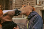 В Одессе лошади целовались и фотографировались на iPhone