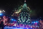 В Киеве начинают установку новогодней елки