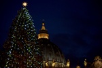 В Ватикане зажгли рождественскую елку