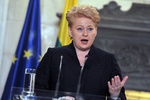 Президент Литвы будет бойкотировать Олимпиаду в Сочи
