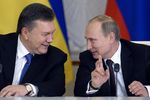 Путин и Янукович встретятся в Сочи