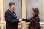 Янукович заверил Нуланд, что является сторонником скорейшего проведения конституционной реформы
