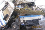 Автобус "Харцызск - Донецк" из-за собаки влетел в дерево