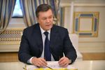 Янукович хочет провести референдум