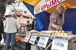 Бизнес в Крыму остался без правил