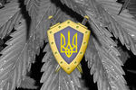 В Днепропетровской области 53 правоохранителя “погорели” на наркотиках