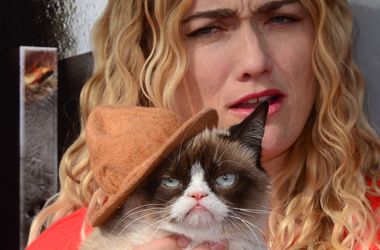 Звезда интернета Grumpy Cat поразил зрителей на MTV Movie Awards-2014