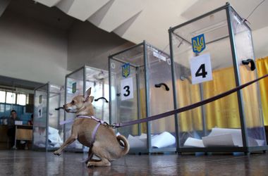 На Волыни и Прикарпатье проголосовало больше половины избирателей