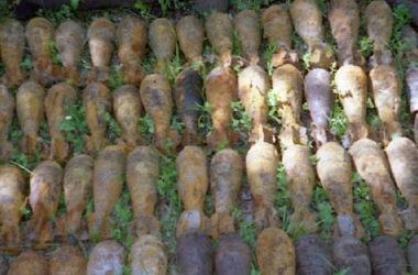 За сутки в Херсонской области уничтожено 14 боеприпасов