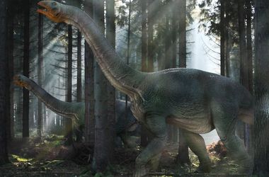 Динозавров погубило невезение – ученые