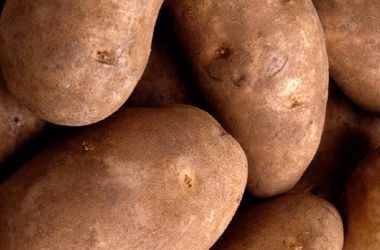 Беларусь передумала запрещать украинскую картошку