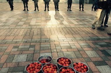 Активисты принесли под Раду ведра с помидорами