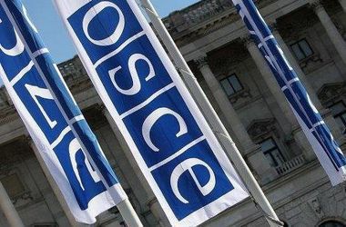 Выборы в Украине прошли в соответствии с демократическими требованиями – ОБСЕ