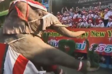 Слоны в костюмах Санта-Клауса принесли подарки детям в Таиланде