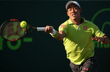Теннисист Кей Нишикори получил золотой унитаз