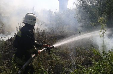 Под Киевом пожарные спасли из огня собаку