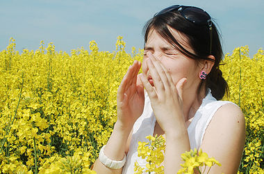 5 мифов об аллергии