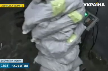 Пограничники помешали вывезти из Украины 150 кг янтаря