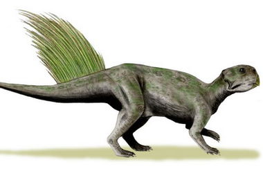 В Китае под лестницей дома нашли скелет и 213 яиц динозавра