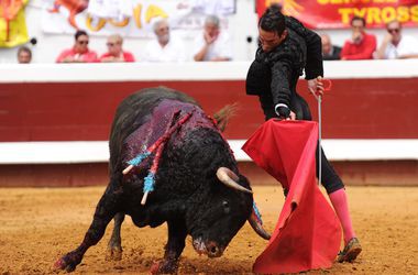 В Испании быки растерзали восемь человек