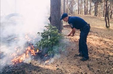 Под Киевом патрульные потушили лесной пожар