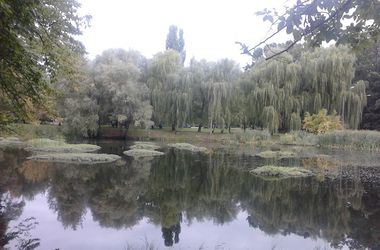 В Киеве почистили красивое озеро в парке с ивами